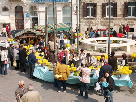 Dan narcisa 2006. i prekrasno 1. aprilsko prijepodne na pulsmom merkatu 