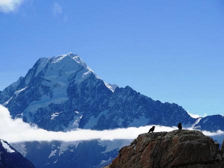 Landscape of New Zeland 