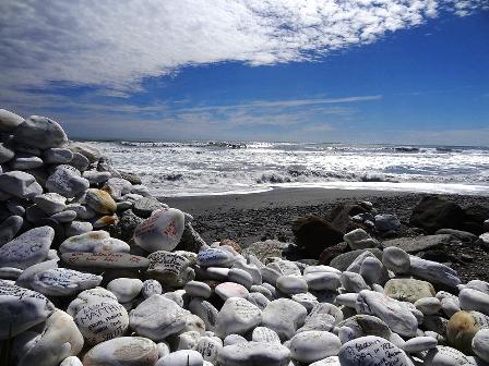 Landscape of New Zeland 