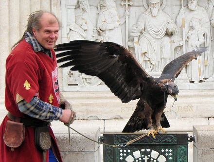 Budimpe�tanski sokolar i njegov sokol